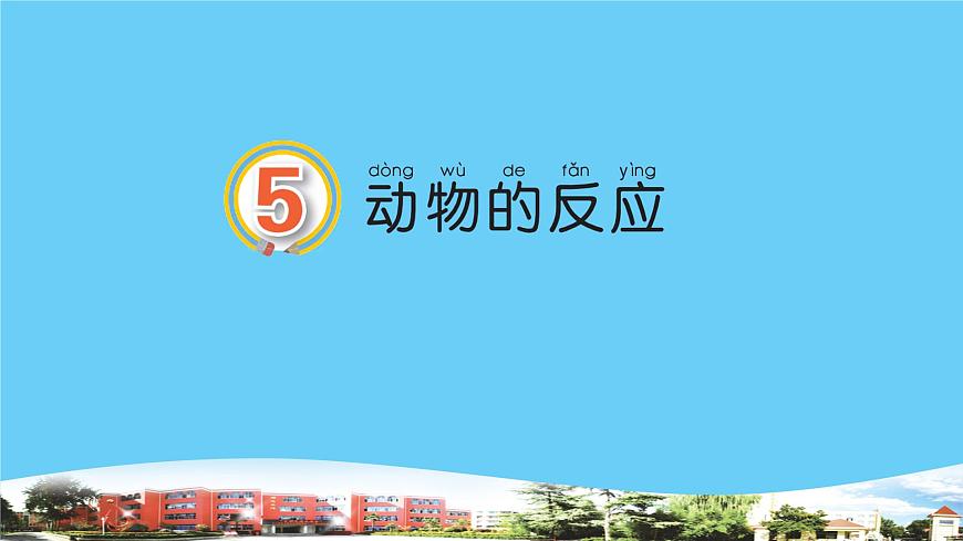 新青島版科學(xué)六三制一年級(jí)下冊(cè) 5 動(dòng)物的反應(yīng) 課件PPT第1頁(yè)