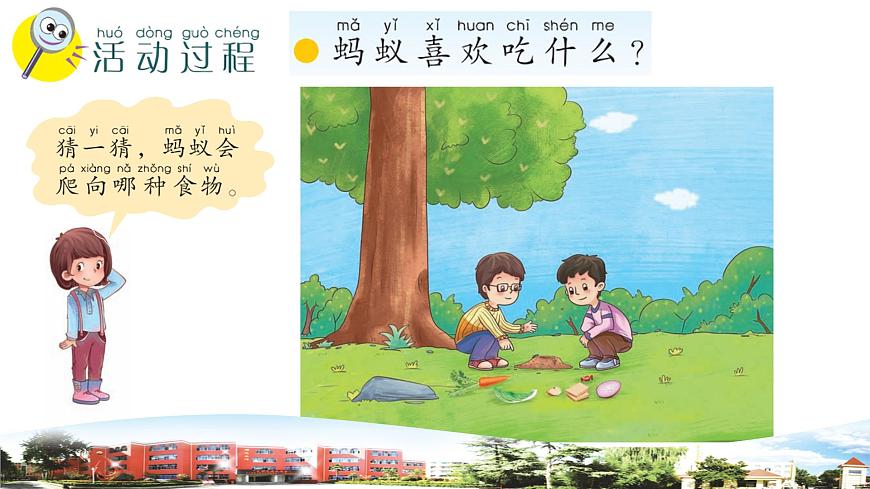 新青島版科學(xué)六三制一年級(jí)下冊(cè) 5 動(dòng)物的反應(yīng) 課件PPT第3頁(yè)