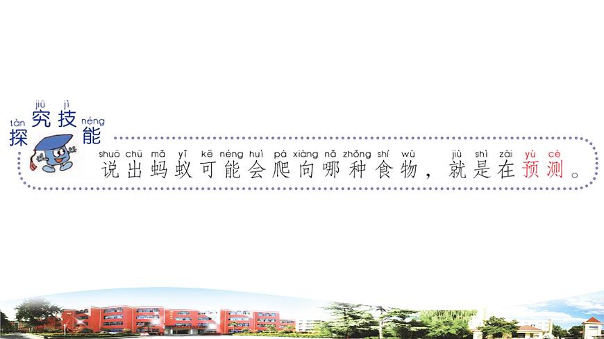 新青島版科學(xué)六三制一年級(jí)下冊(cè) 5 動(dòng)物的反應(yīng) 課件PPT第4頁(yè)