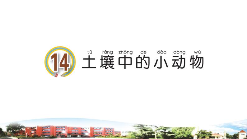 新青岛版科学六三制一年级下册14 土壤中的小动物 课件PPT01