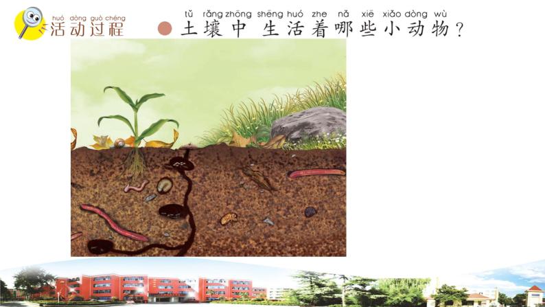 新青岛版科学六三制一年级下册14 土壤中的小动物 课件PPT03
