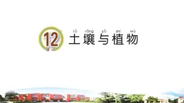 新青岛版科学六三制一年级下册12 土壤与植物 课件PPT