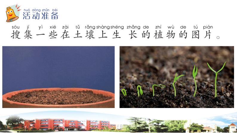 新青岛版科学六三制一年级下册12 土壤与植物 课件PPT02