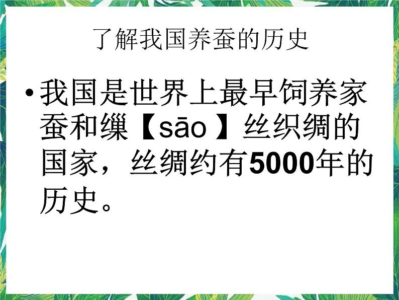 3.1蚕宝宝出生了 课件+教案02