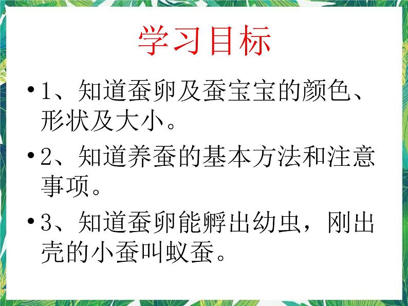 3.1蚕宝宝出生了 课件+教案03
