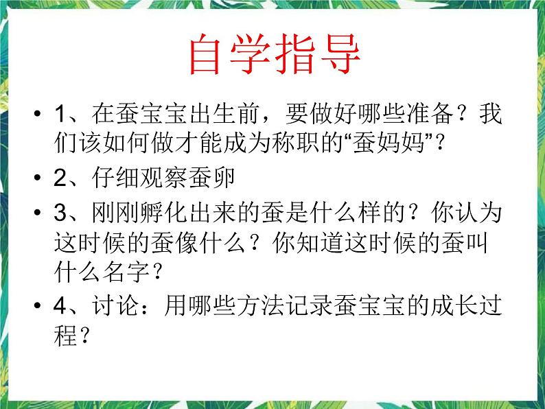 3.1蚕宝宝出生了 课件+教案04