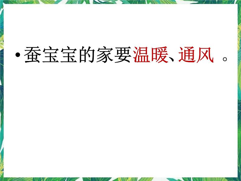 3.1蚕宝宝出生了 课件+教案05