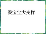 3.3蚕宝宝大变样 课件+教案