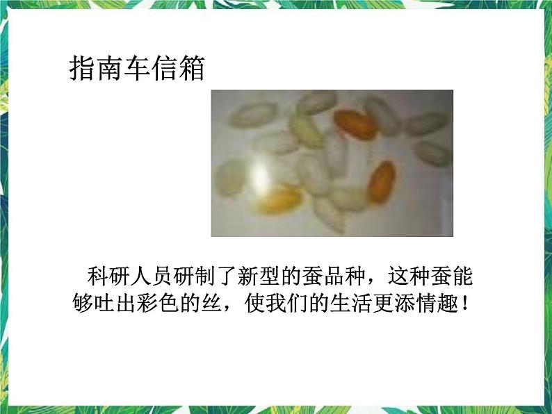 三年级下册科学课件-3.3蚕宝宝大变样 |湘科版(一起) (共39张PPT)第7页