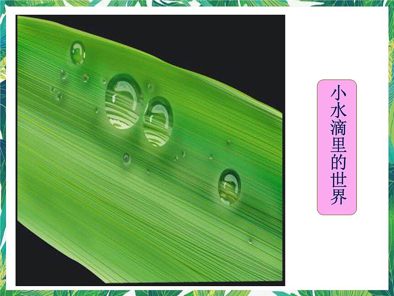 三年级下册科学课件-5.4与水有关的光现象 |湘科版(一起) (共25张PPT)第4页