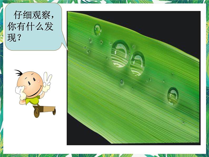三年级下册科学课件-5.4与水有关的光现象 |湘科版(一起) (共25张PPT)第8页