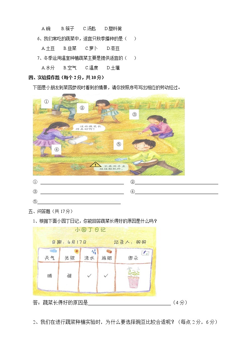 科学粤教粤科版二年级下册 第二单元 一起种蔬菜 单元测试卷(含答案)02