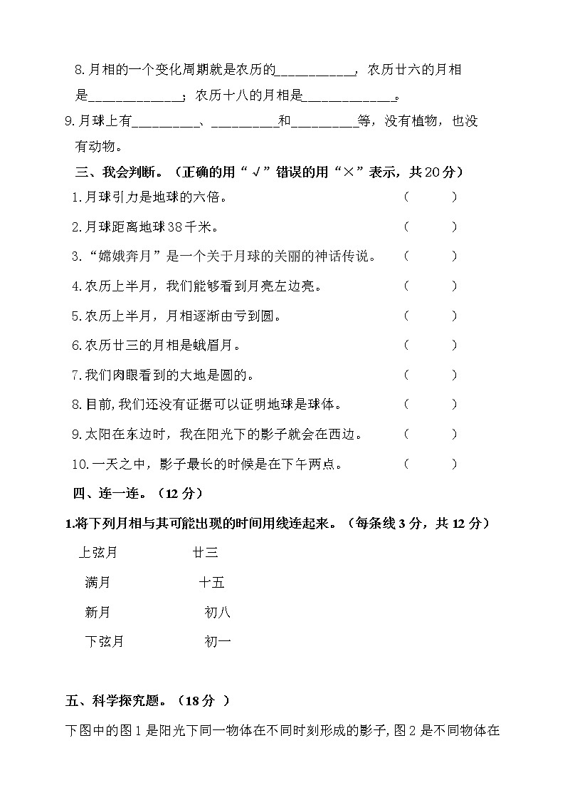 新大象版科学四年级下册 第三单元测试卷(含答案)第3页