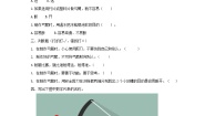 大象版 (2017)二年级下册第四单元 力和形变3 制作小弓箭达标测试