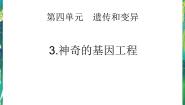 科学五年级下册3 神奇的基因工程多媒体教学ppt课件