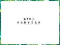 五年级下册科学课件－3.1解开生物体结构的秘密 湘教版