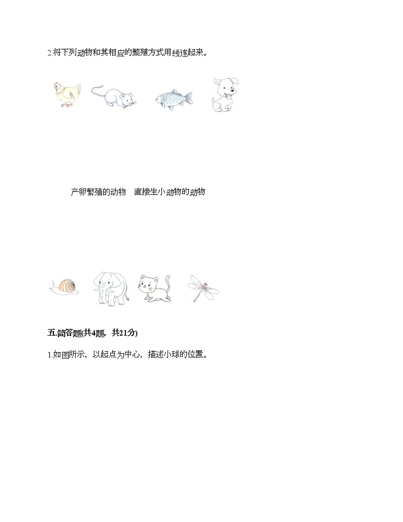 教科版三年级下册科学期末测试卷及答案 (14)第3页