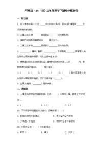 粤教版三年级科学下册期中检测题（含答案）