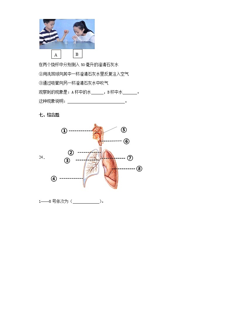 粤教版三年级科学下册期末检测题(含答案)第3页