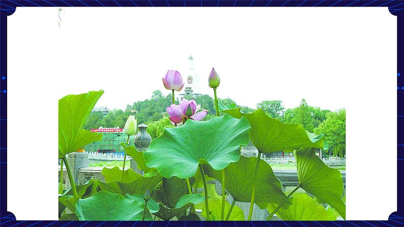 3. 新鄂教人教版科学五下 3 四季的形成 课件PPT+教案04