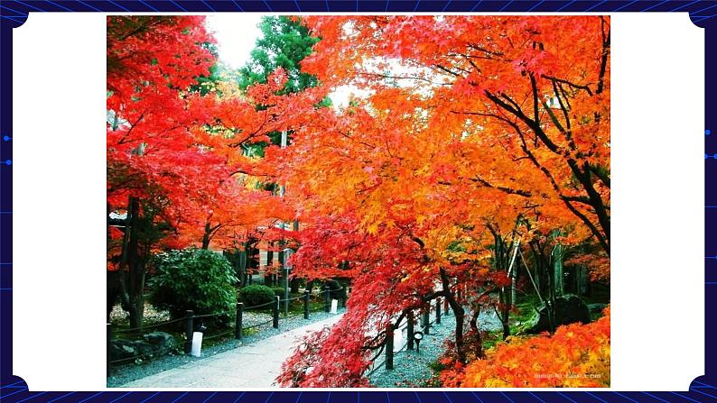 3. 新鄂教人教版科学五下 3 四季的形成 课件PPT+教案05