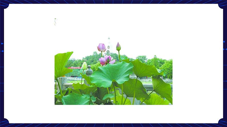 3. 新鄂教人教版科学五下 3 四季的形成 课件PPT+教案08