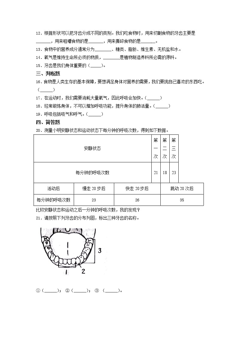 教科版四年级上册科学第二单元 呼吸和消化(单元测试)(含答案)第2页