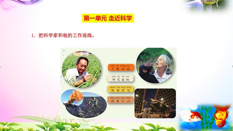 苏教版一年级上册《科学》期中-期末知识点汇总-重点知识梳理-期中-期末总复习【最新版-精品】课件PPT03