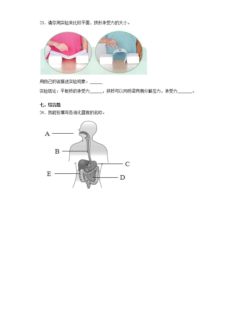 人教鄂教版科学三年级上册期末检测5(含答案)第3页