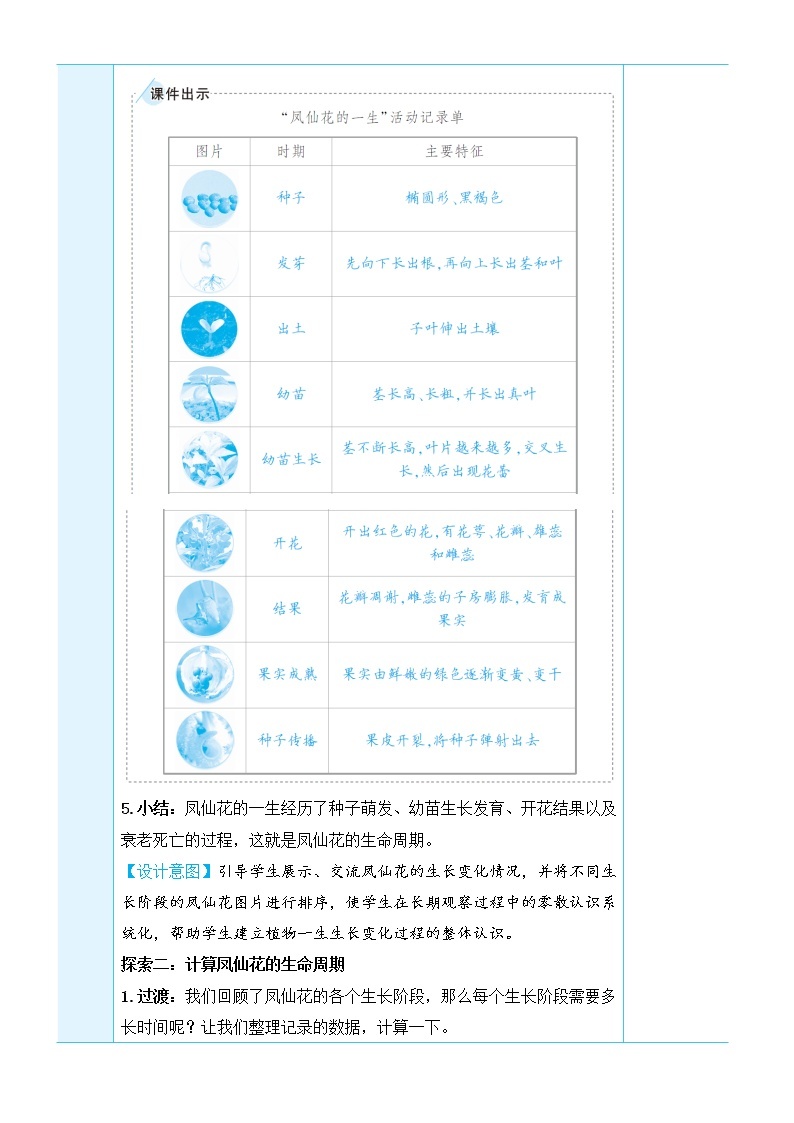 1.8《凤仙花的一生》课件+素材（送教案）03