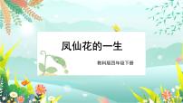 教科版 (2017)四年级下册8.凤仙花的一生精品ppt课件