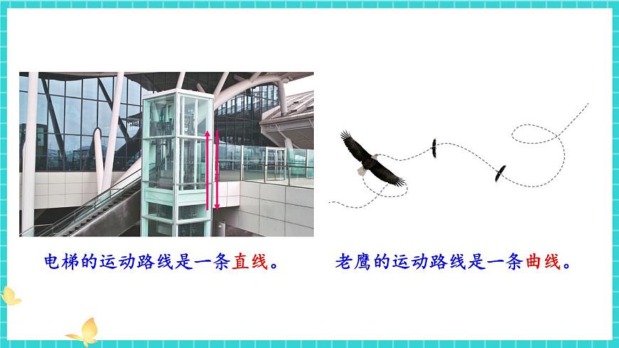 第3課 直線運(yùn)動和曲線運(yùn)動第5頁