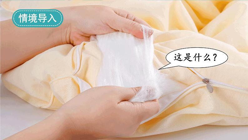 2.1《迎接蚕宝宝的到来》课件+教案+素材01