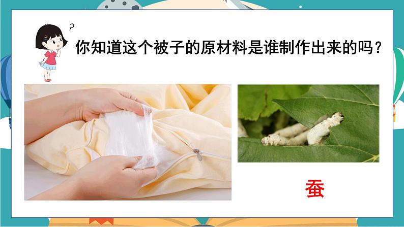 2.1《迎接蚕宝宝的到来》课件+教案+素材02