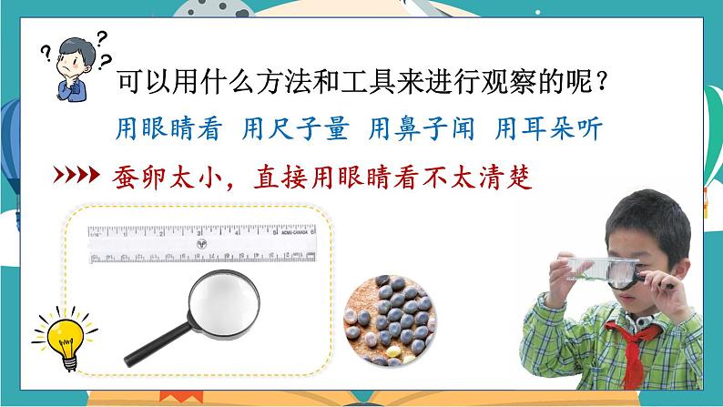 2.1《迎接蚕宝宝的到来》课件+教案+素材06