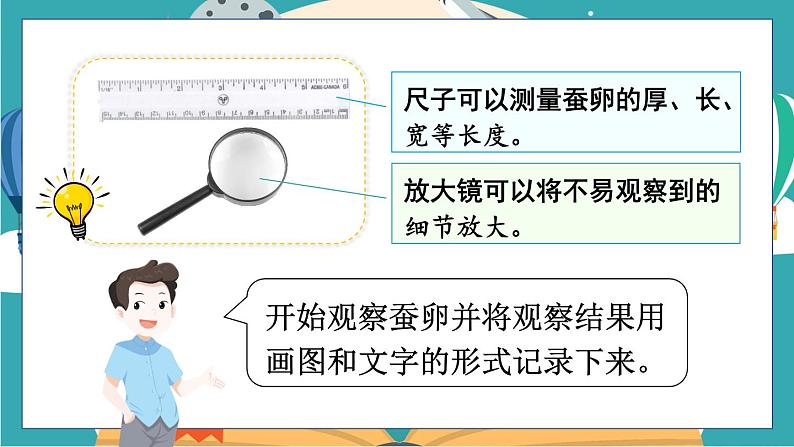 2.1《迎接蚕宝宝的到来》课件+教案+素材07
