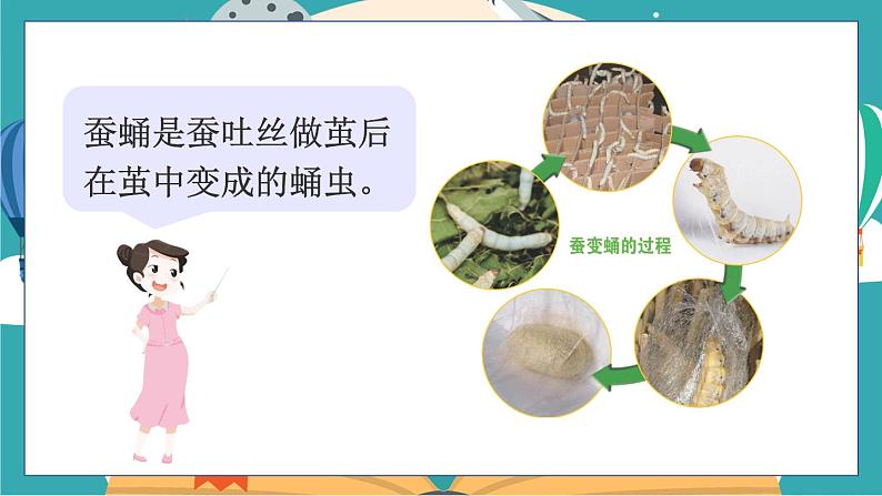 2.4《蚕变了新模样》课件+教案+素材06