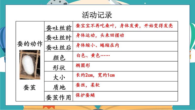 2.4《蚕变了新模样》课件+教案+素材08