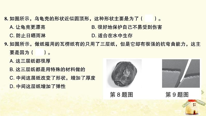 小升初科学归类冲刺卷第二部分模拟训练卷七课件第5页