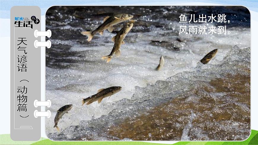青島版（五四學(xué)制）一年級(jí)下冊(cè)：第二單元第5課《動(dòng)物的反應(yīng)》課件第2頁(yè)