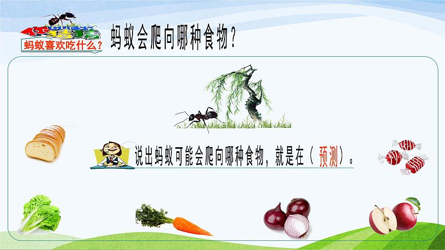 青島版（五四學(xué)制）一年級(jí)下冊(cè)：第二單元第5課《動(dòng)物的反應(yīng)》課件第4頁(yè)