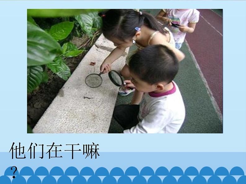 粤教粤科版(2017秋)一年级科学上册 1.4 学会运用工具_课件第2页