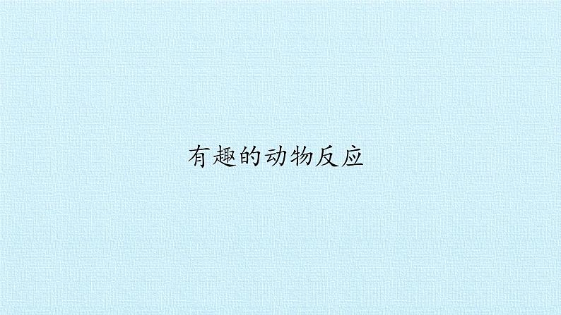 湘科版(2017秋)科学二年级上册 2.3 有趣的动物反应_(课件)第1页