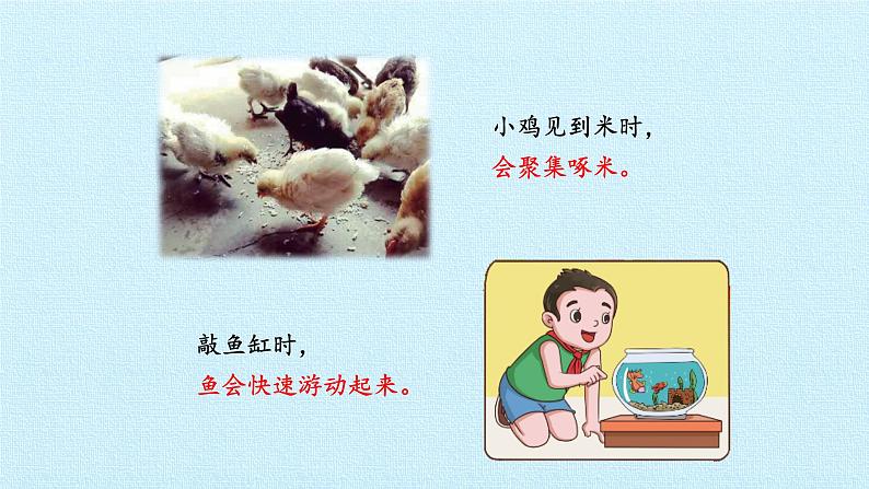 湘科版(2017秋)科学二年级上册 2.3 有趣的动物反应_(课件)第3页