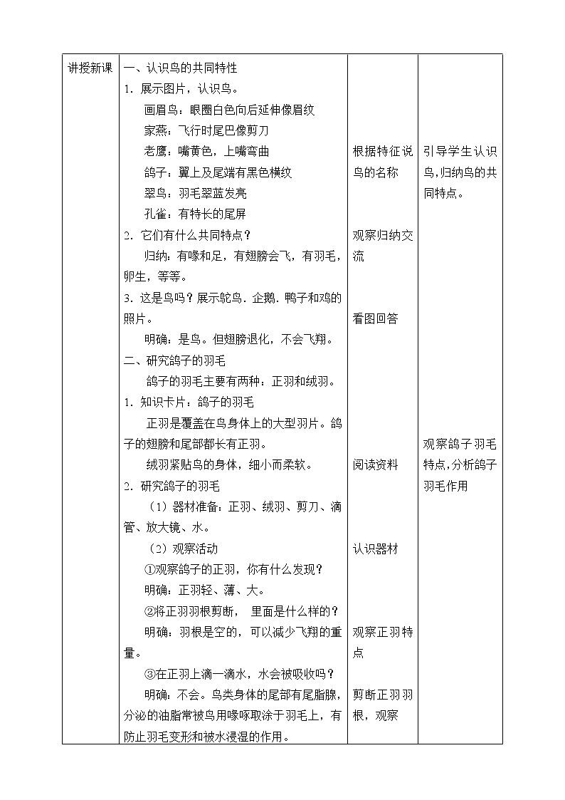 苏教版(2017秋)四年级上册科学 3 鸟类(教案)02