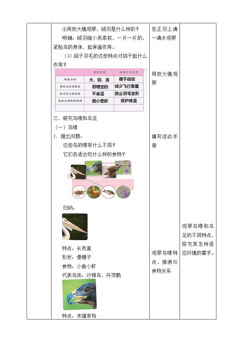 苏教版(2017秋)四年级上册科学 3 鸟类(教案)03