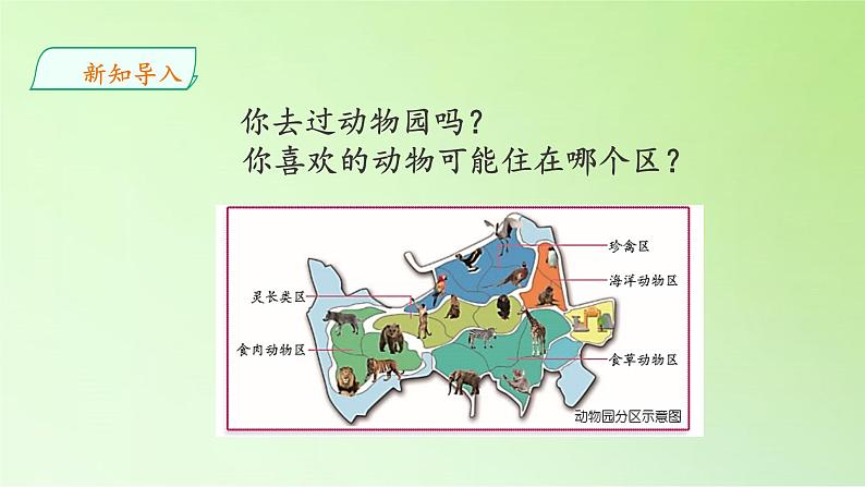 苏教版(2017秋)四年级上册科学 1 给动物分类(课件)第3页