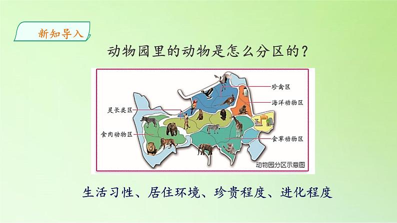 苏教版(2017秋)四年级上册科学 1 给动物分类(课件)第4页