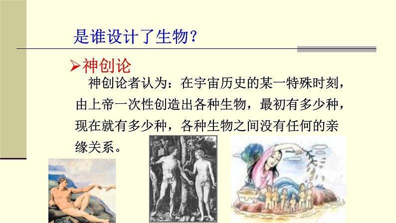 人教版六年级科学下册2.4生物的进化 课件第2页