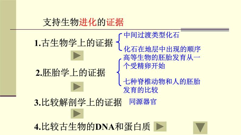 人教版六年级科学下册2.4生物的进化  课件05